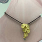 Collar laurel
