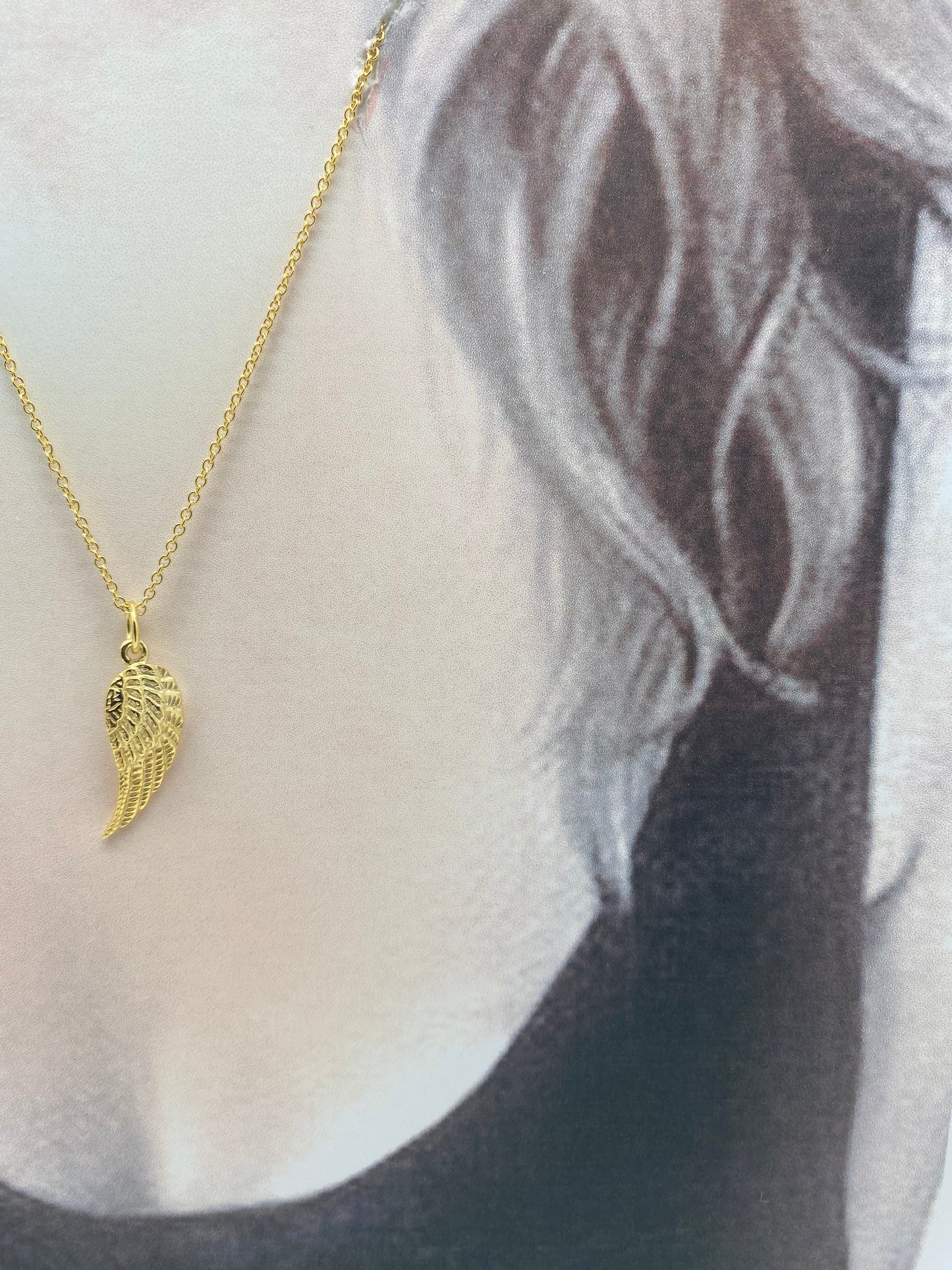 Cadena ala